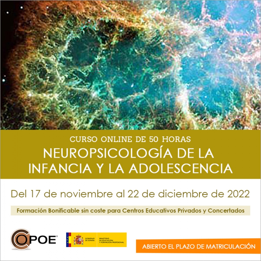 Curso online de COPOE &quot;Neuropsicología de la infancia y la adolescencia”, del 17 de noviembre al 22 de diciembre de 2022